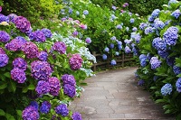 letter2406-1.jpg